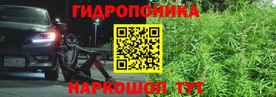 мяу мяу мука Заволжье